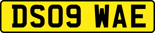 DS09WAE