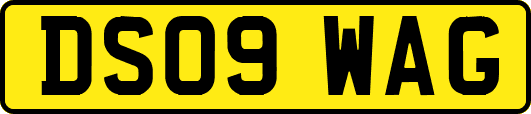 DS09WAG