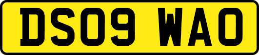 DS09WAO