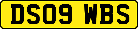 DS09WBS