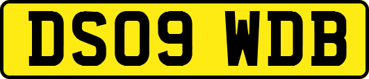 DS09WDB