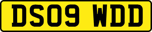 DS09WDD