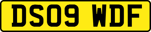 DS09WDF