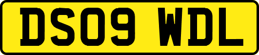 DS09WDL