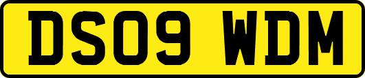 DS09WDM