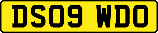 DS09WDO