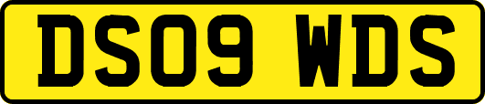 DS09WDS