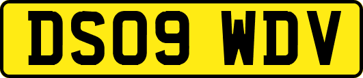 DS09WDV