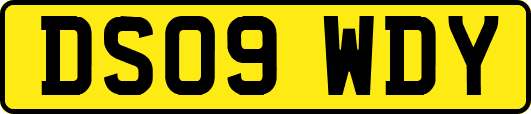 DS09WDY