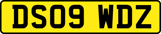 DS09WDZ