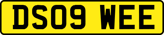 DS09WEE