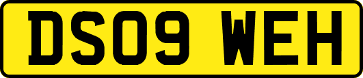 DS09WEH