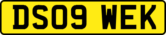 DS09WEK