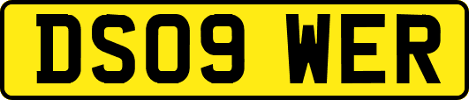 DS09WER