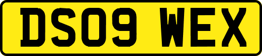 DS09WEX