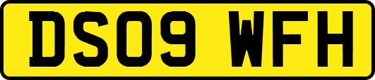 DS09WFH