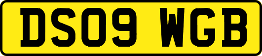 DS09WGB