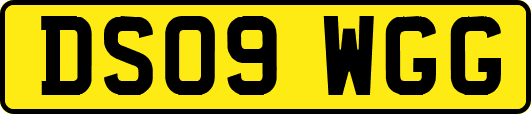 DS09WGG