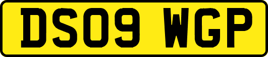 DS09WGP