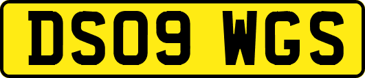DS09WGS