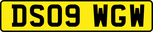 DS09WGW