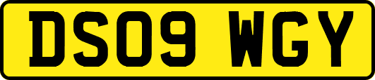 DS09WGY