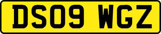 DS09WGZ