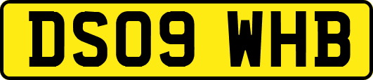 DS09WHB