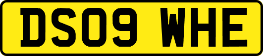 DS09WHE