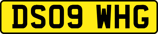 DS09WHG