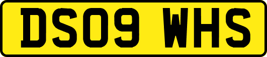 DS09WHS
