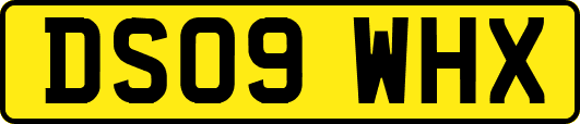 DS09WHX