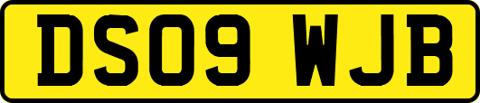 DS09WJB
