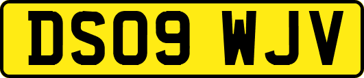 DS09WJV