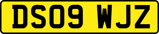 DS09WJZ