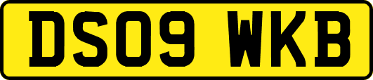 DS09WKB