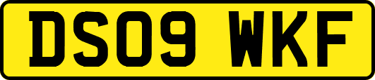 DS09WKF
