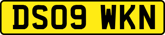 DS09WKN