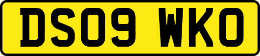 DS09WKO