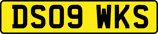 DS09WKS