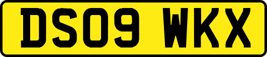 DS09WKX