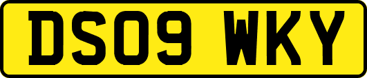 DS09WKY