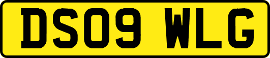 DS09WLG