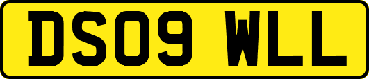 DS09WLL