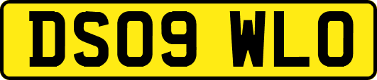 DS09WLO