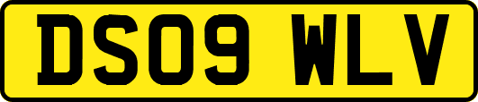 DS09WLV