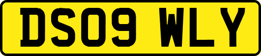 DS09WLY