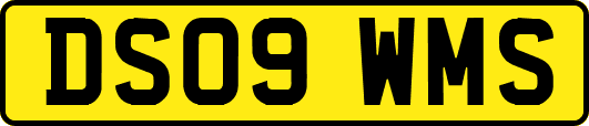 DS09WMS