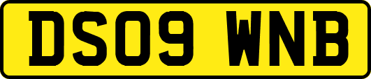 DS09WNB
