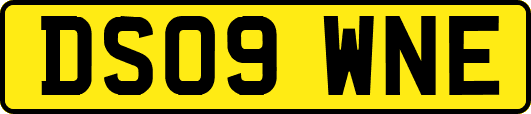 DS09WNE